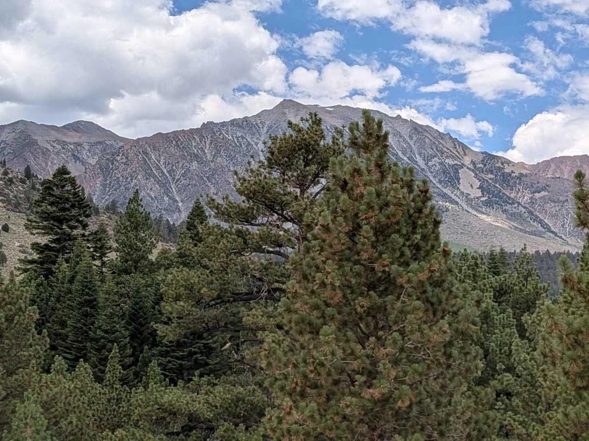 Parker Lake Road - NF1S25 photo 4