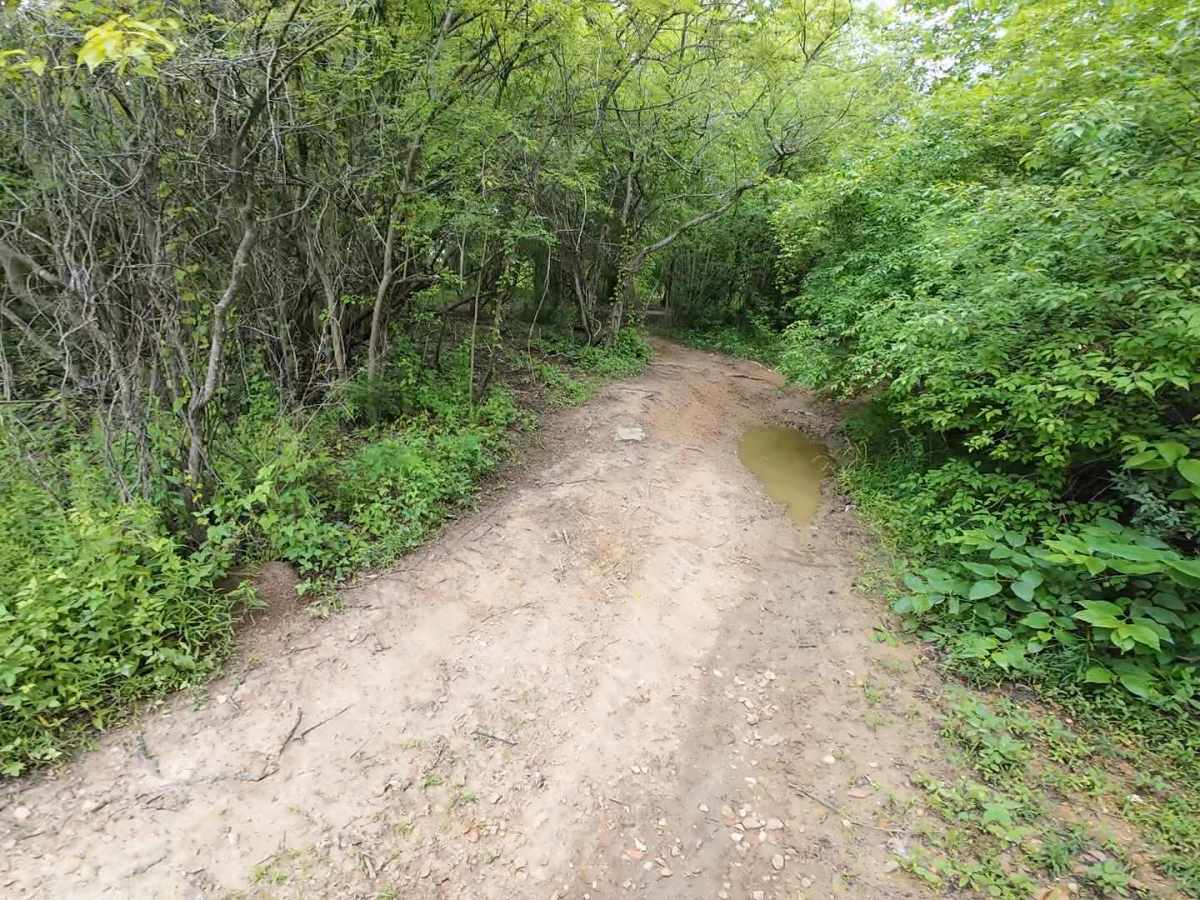 Burnett Trail trail photo