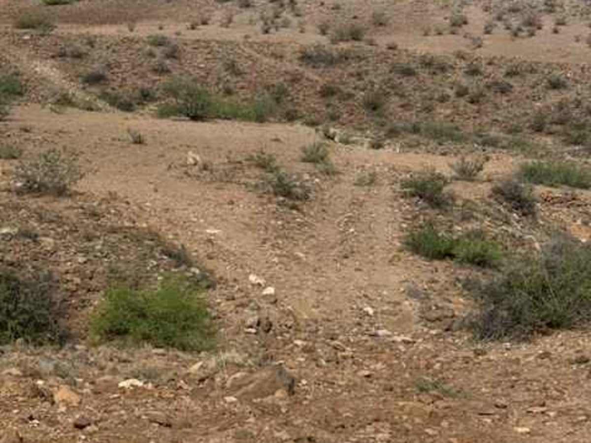 BLM PE1221 trail photo