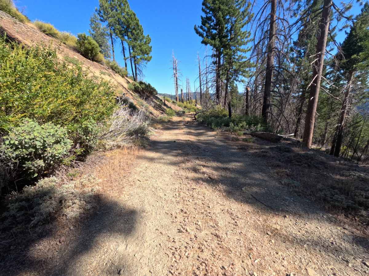 Spanish Ridge - FS 21N39 photo 4