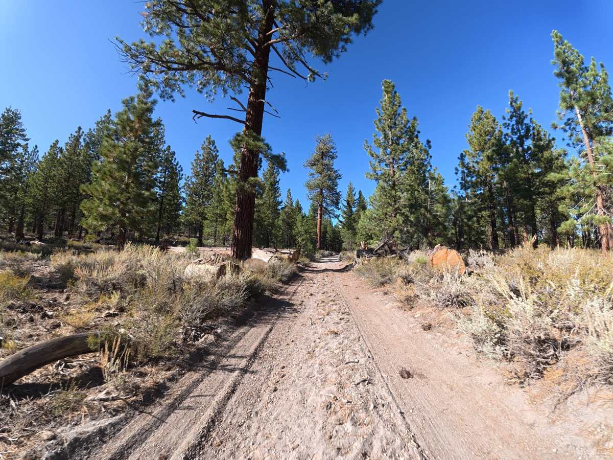 Big Springs Cutoff - FS 2S38 photo 2