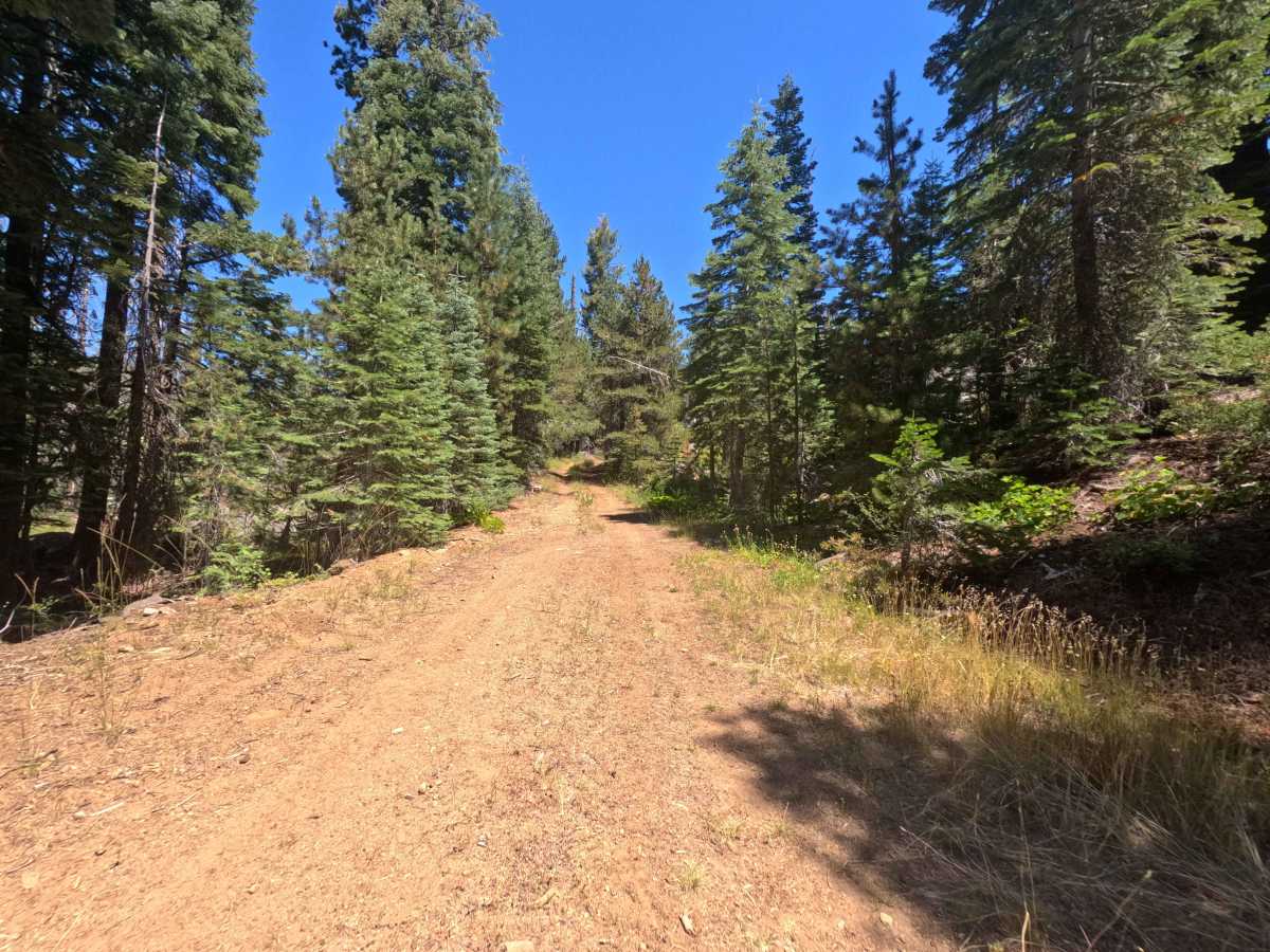 Upper Votaw - FS 8N13 photo 3