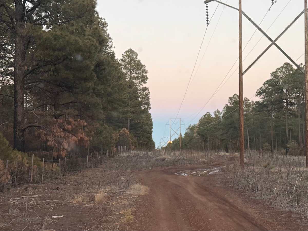 Flagstaff Powerline Trail trail photo