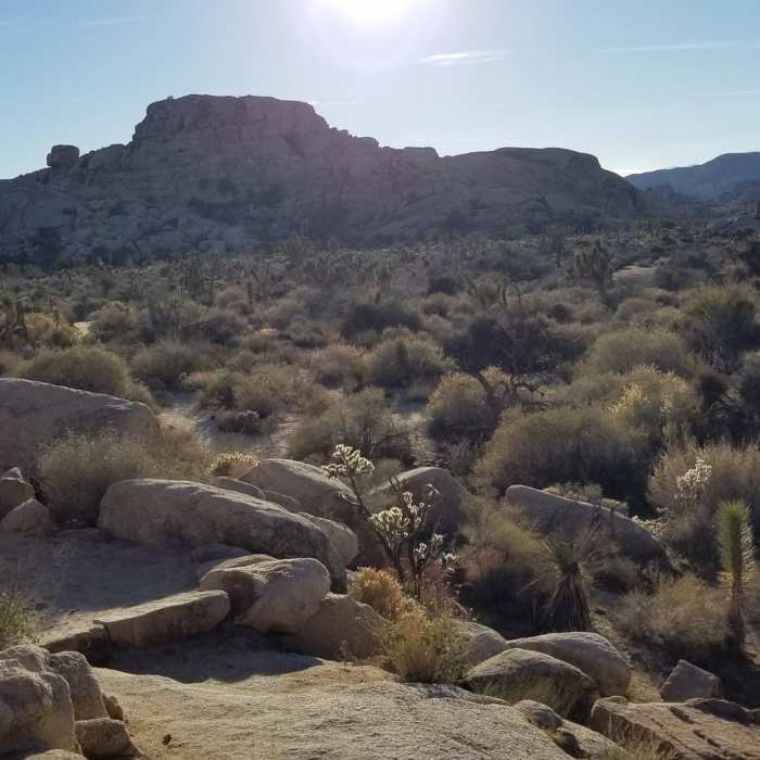 Near Barker Dam Nature Trail
