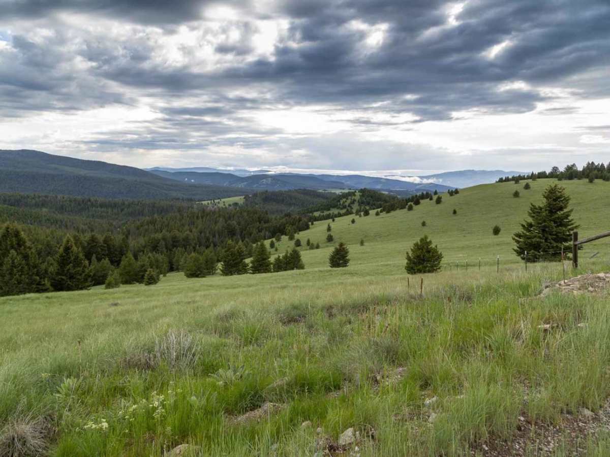 East Fork Reservoir photo 3
