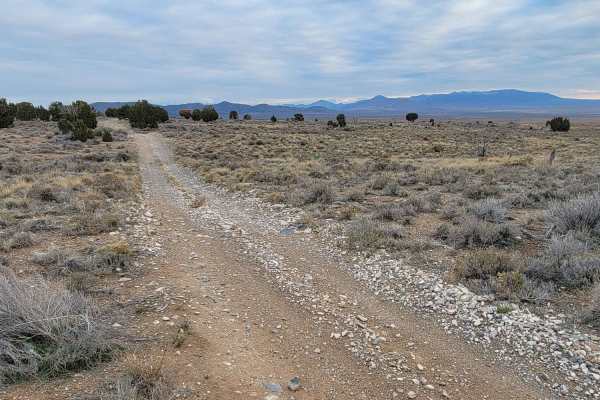 Pack Trail 2