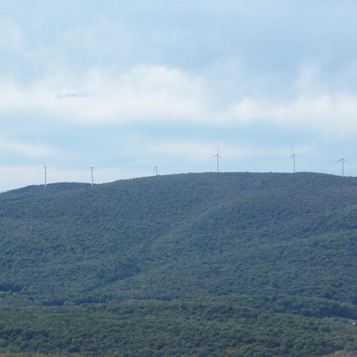 Near Rounds Rock Trail - North Spur