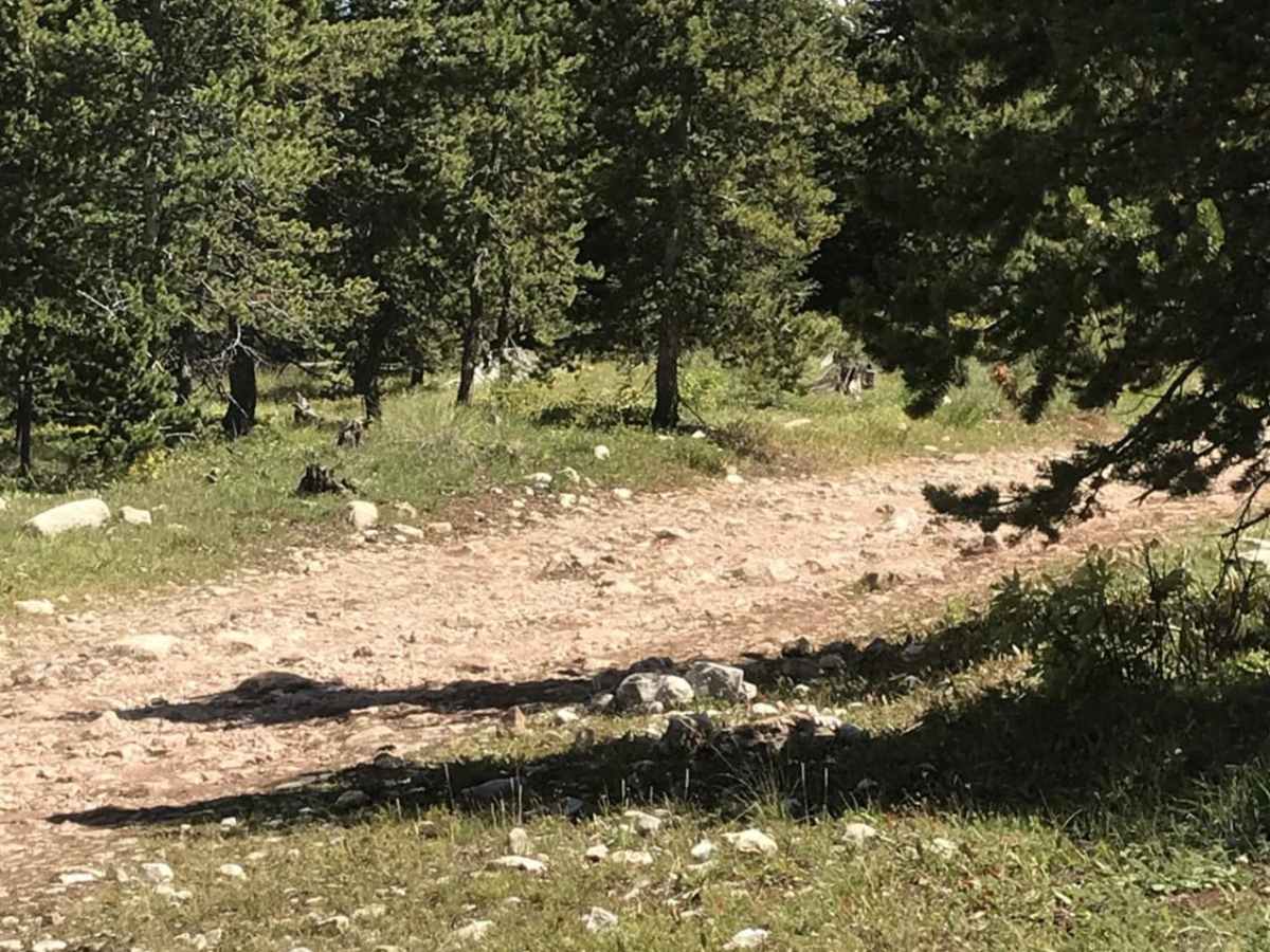 East Florida trail photo
