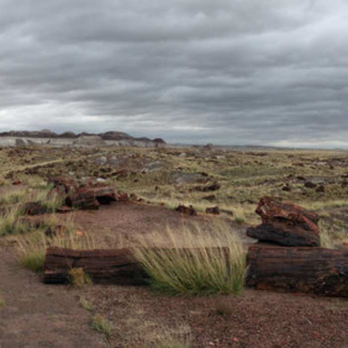 Near Agate House Trail