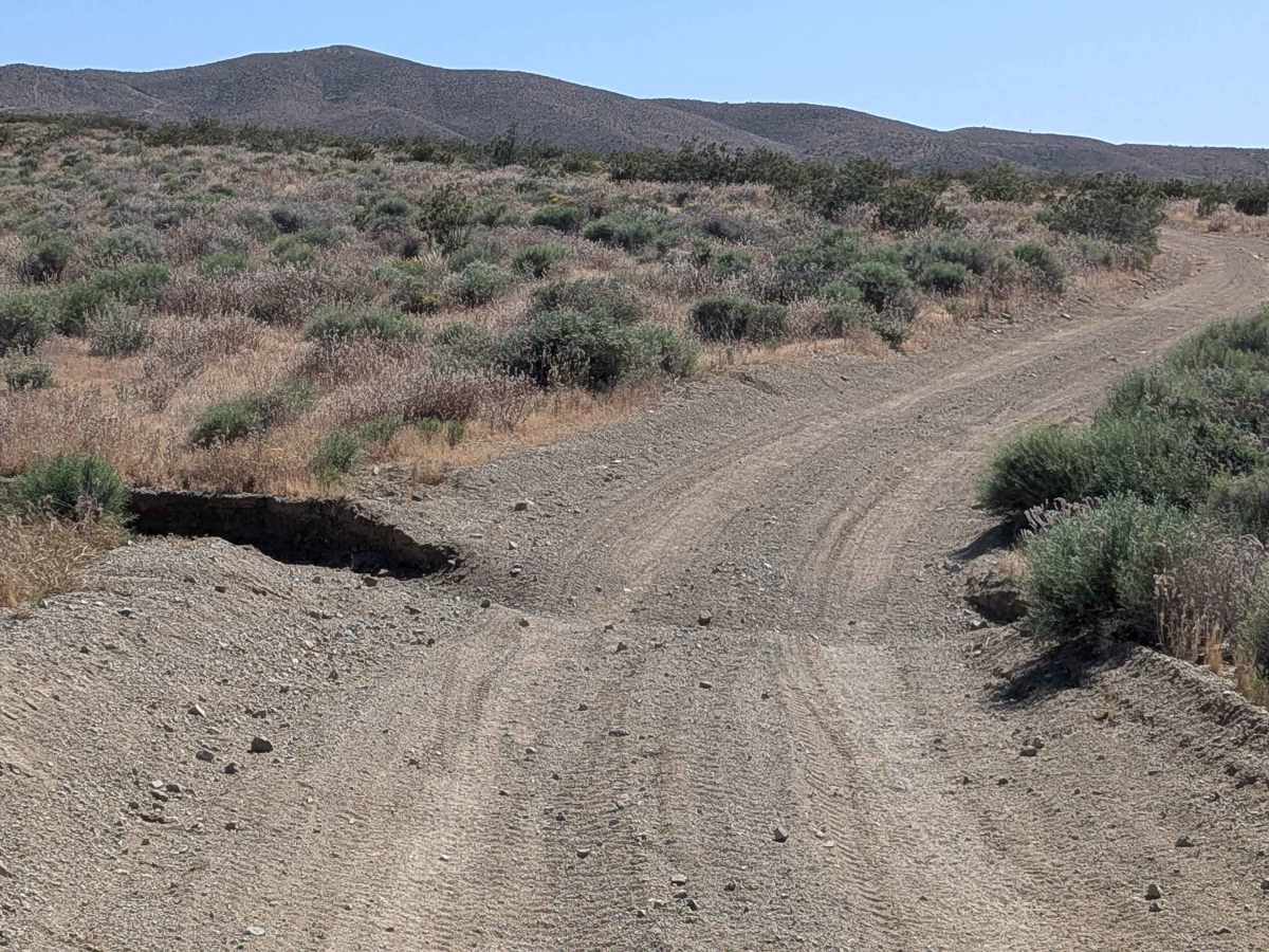 Bonanza Gulch - BLM EP15 photo 3