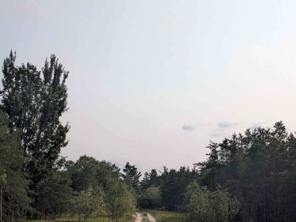North Beaver Dam Creek Loop photo 4