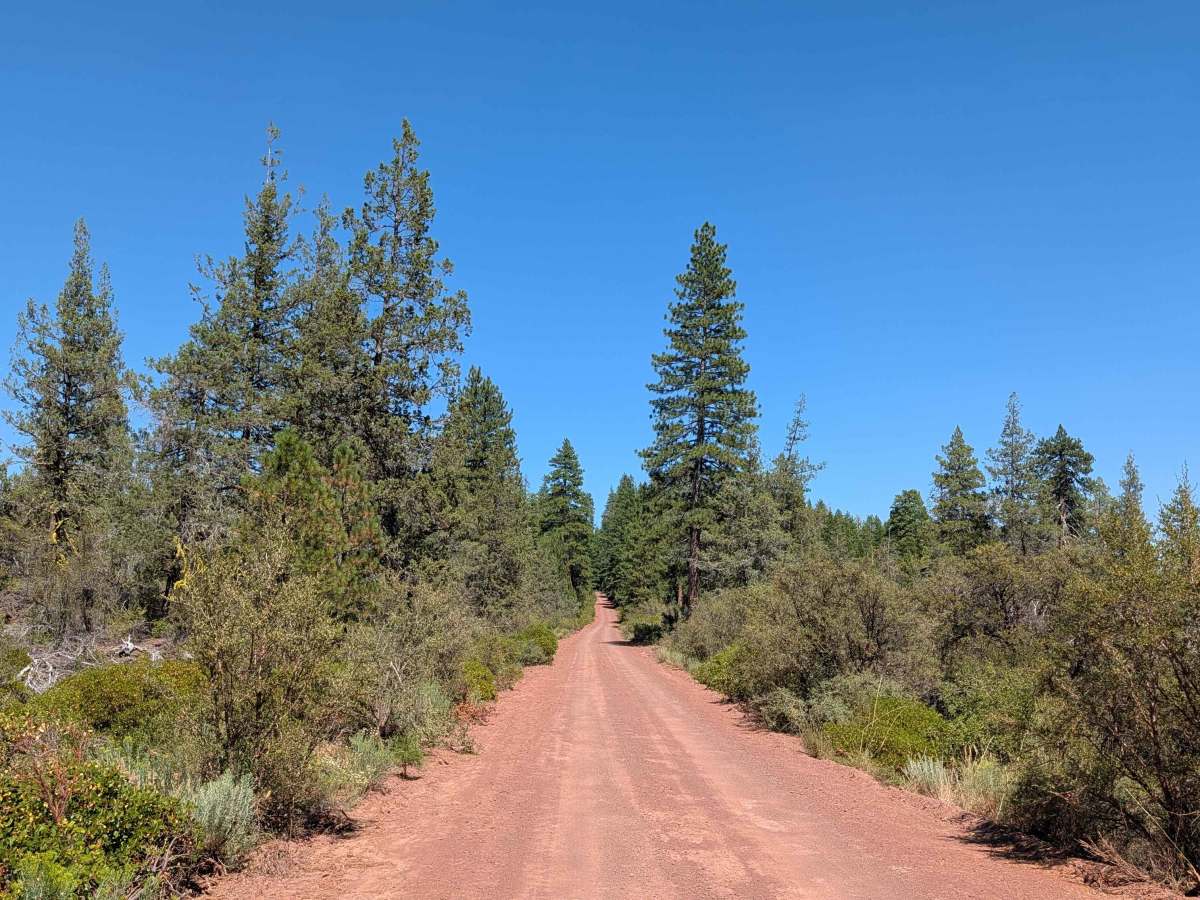 Red Lava - FS 42N03 trail photo