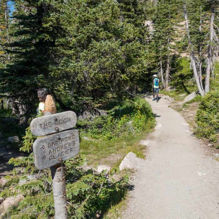 Near Andrews Glacier Trail