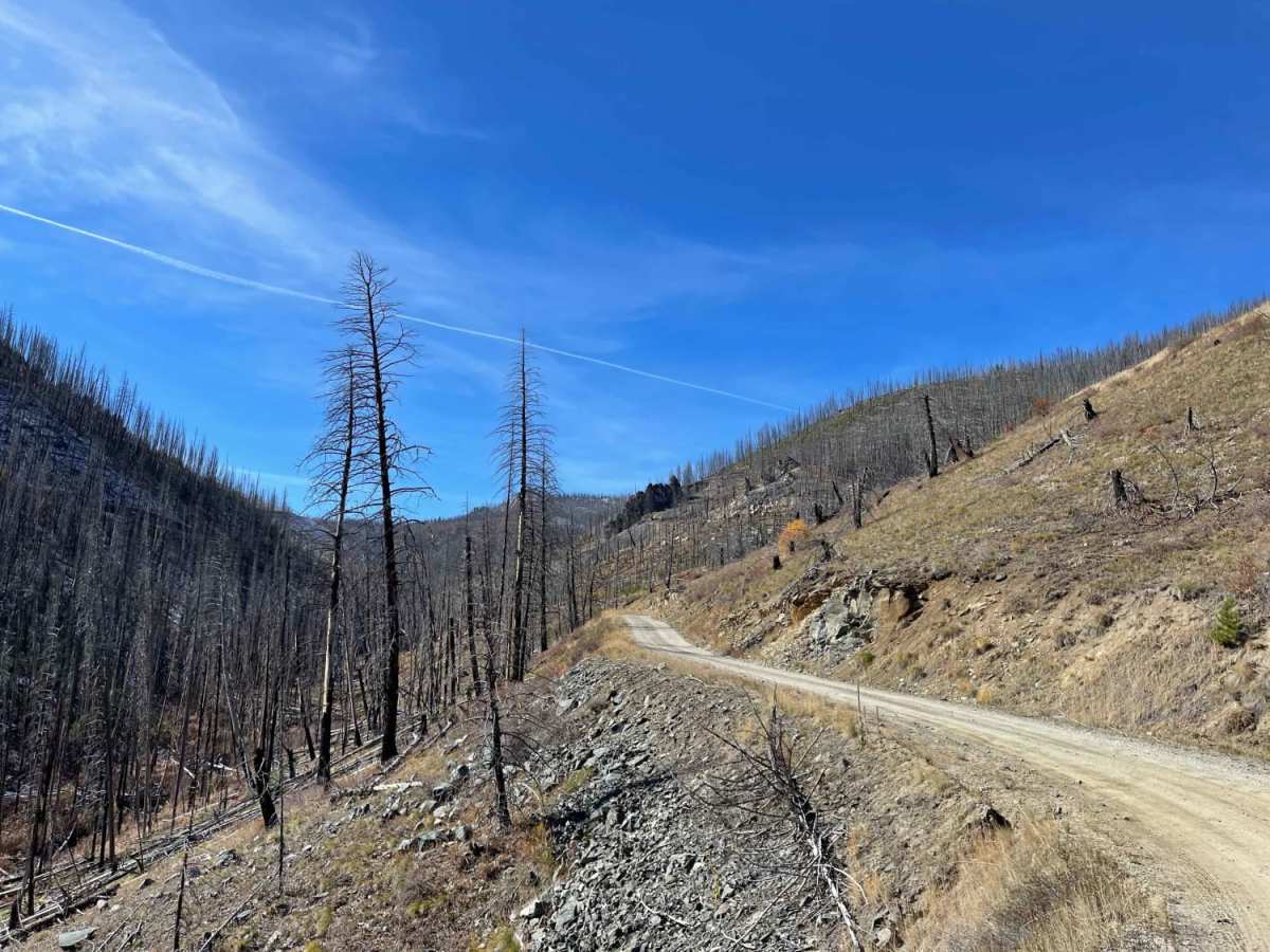 Wood Creek trail photo