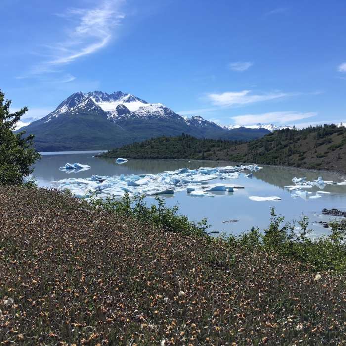 Near Colony Glacier Moraine Route