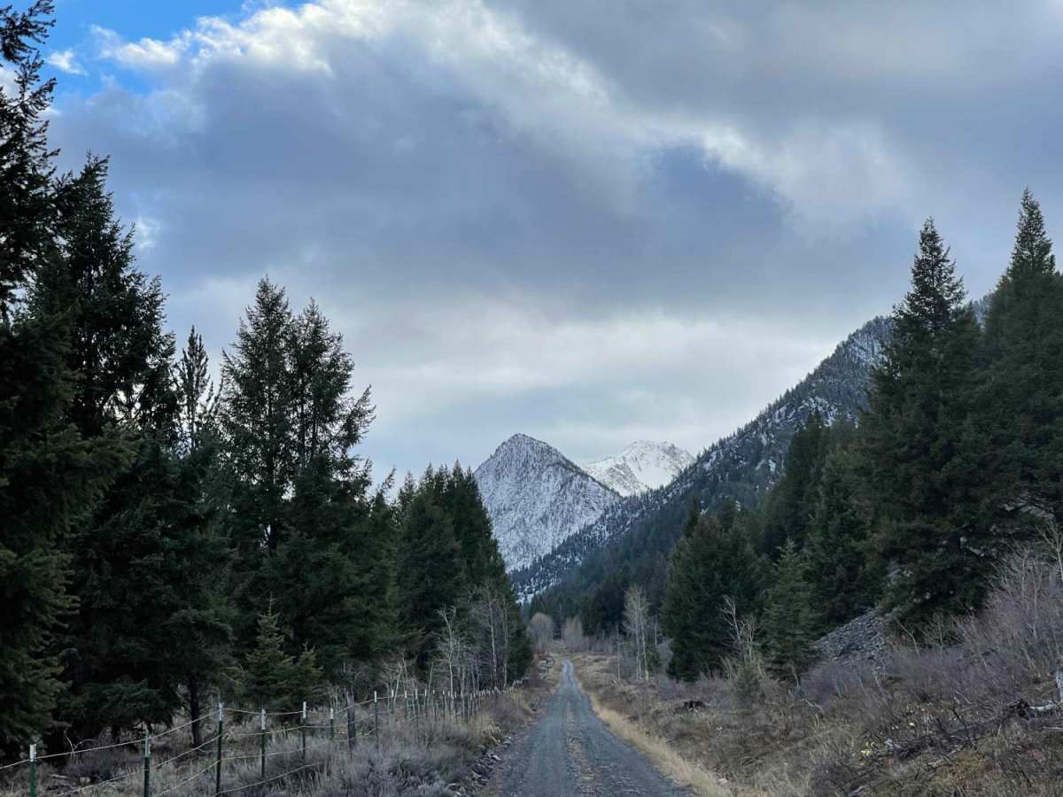 Upper Slate Creek photo 4