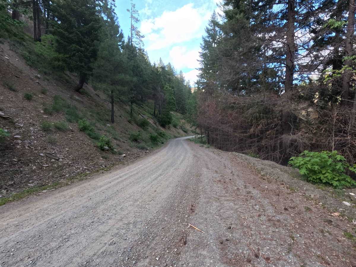 Tillicum Road - FS 58 photo 6