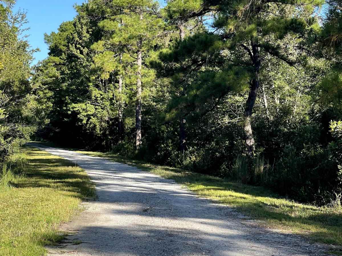 West Ridge Road trail photo