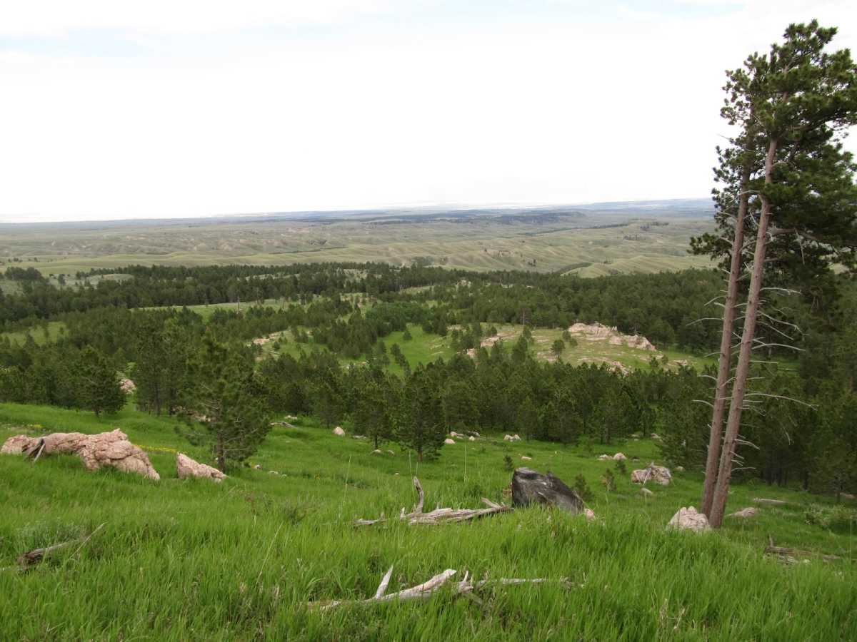 Sunset Ridge photo 3