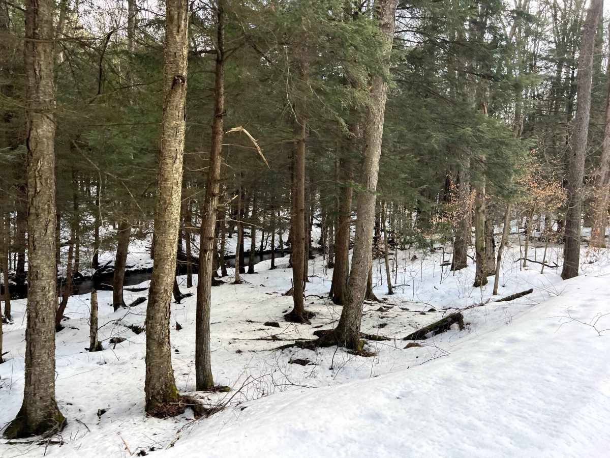 Meade Run photo 6
