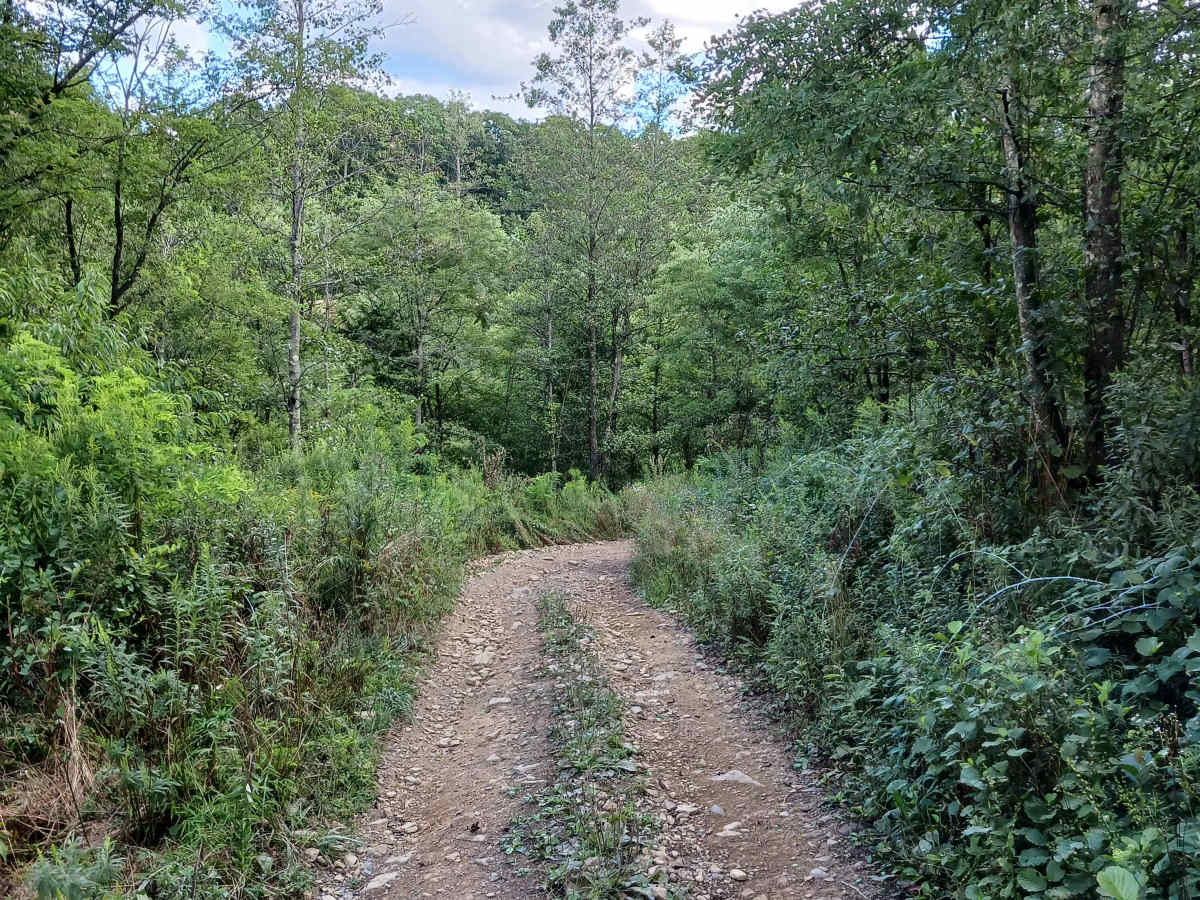 Valley View - Rock Run Recreation Area photo 6