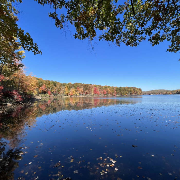 Near Tuxedo - Mt. Ivy Trail
