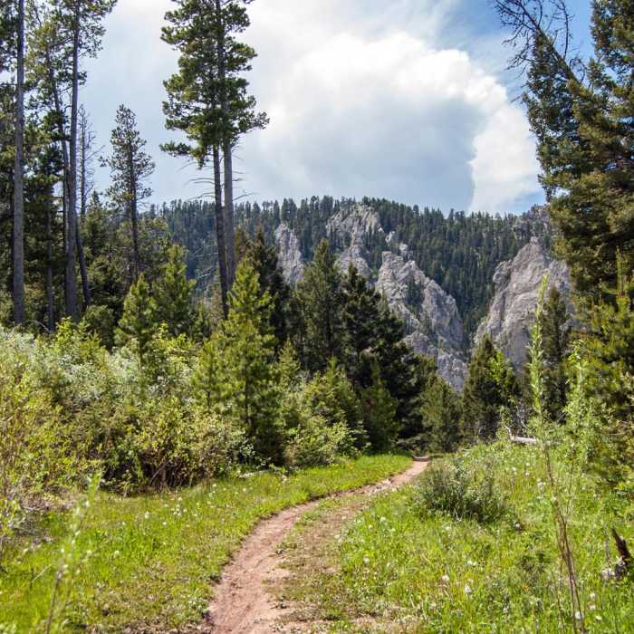 Near Chestnut Mountain