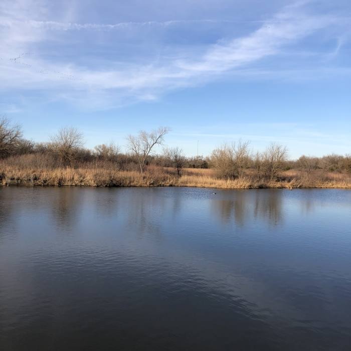 Near Chisholm Creek Park Nature Trail Loop