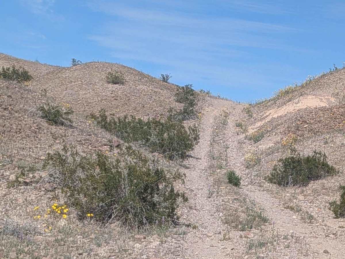 EC1181 trail photo