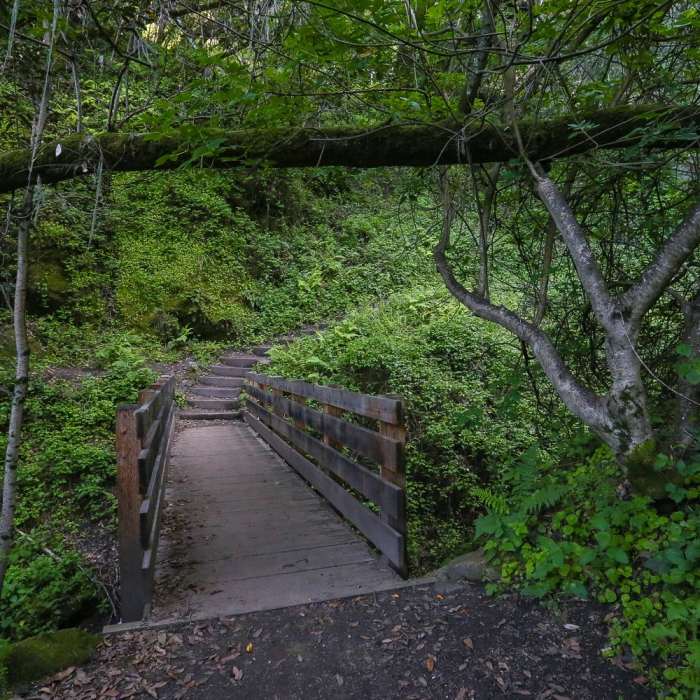 Near Waterfall Trail Near Waterfall Trail