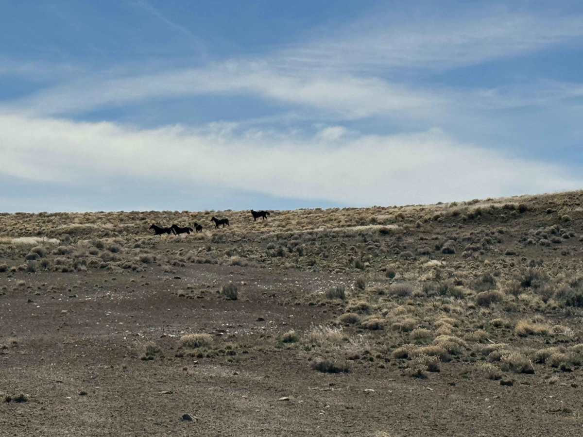 Winters Ranch - BLM SSR18 photo 6