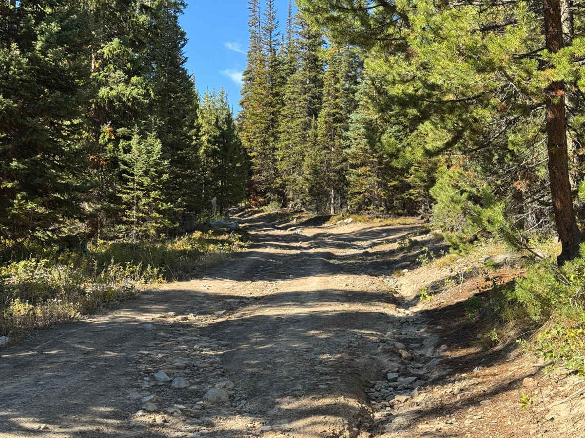 Iron Mountain Road photo 6