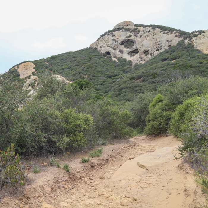 Near Gaviota Wind Caves