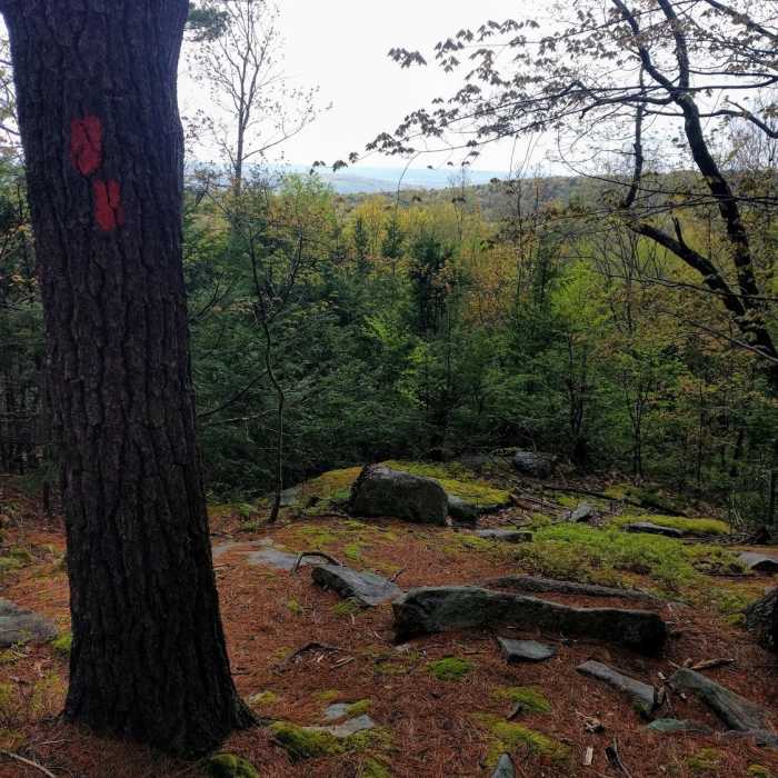 View from one of the many knobs along the RFT. Near Robert Frost Trail