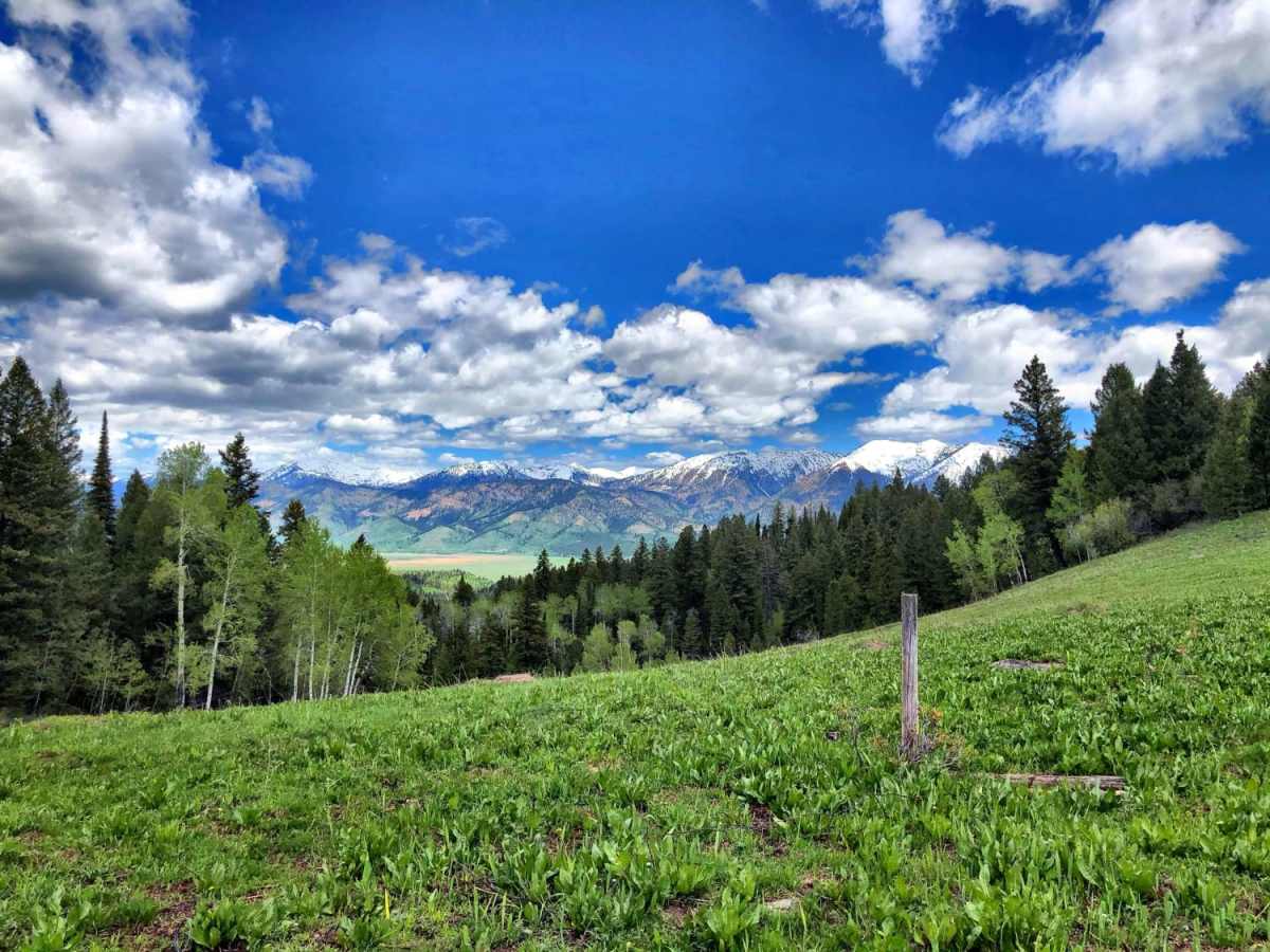 Burns Trout Creek Trail photo 2