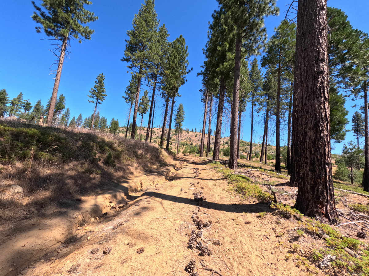FS 1S41A photo 5