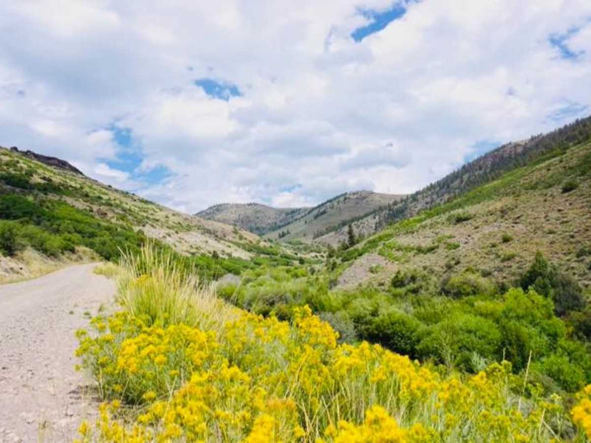 Red Creek photo 5