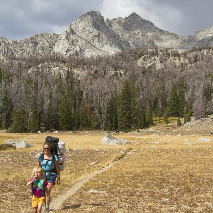 Near Bellas Lakes Near Bellas Lakes