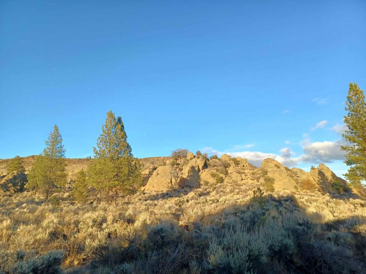 Flat Top trail photo