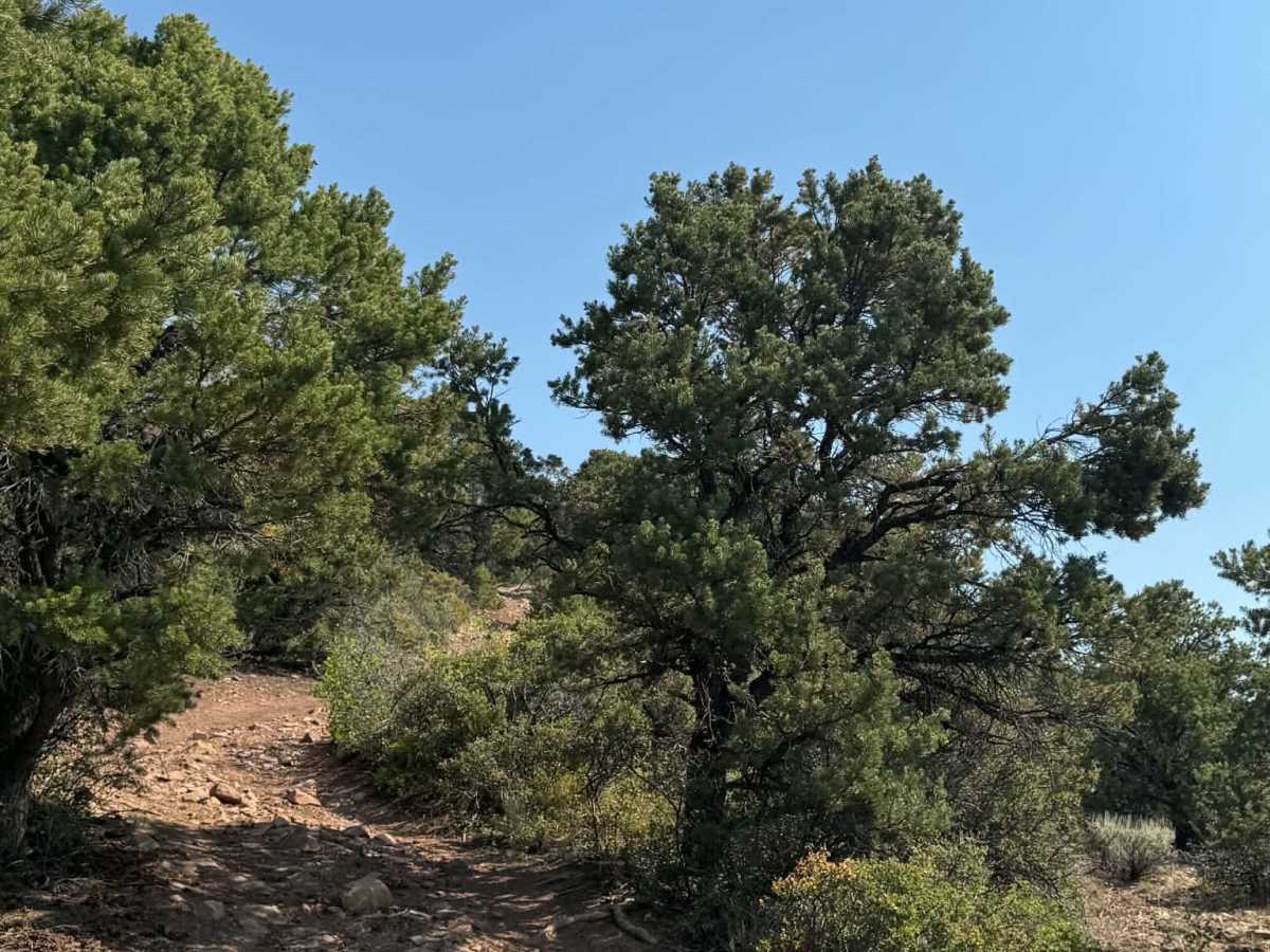 Rifle Loop photo 6