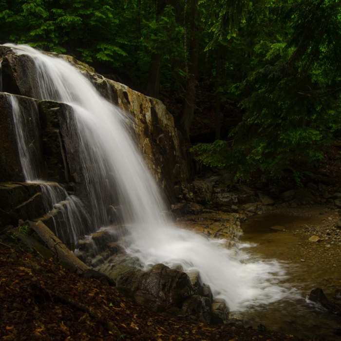 Near Stag Brook Trail Near Stag Brook Trail