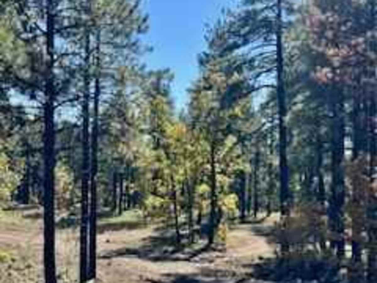 Harding Point - FS 535A photo 5