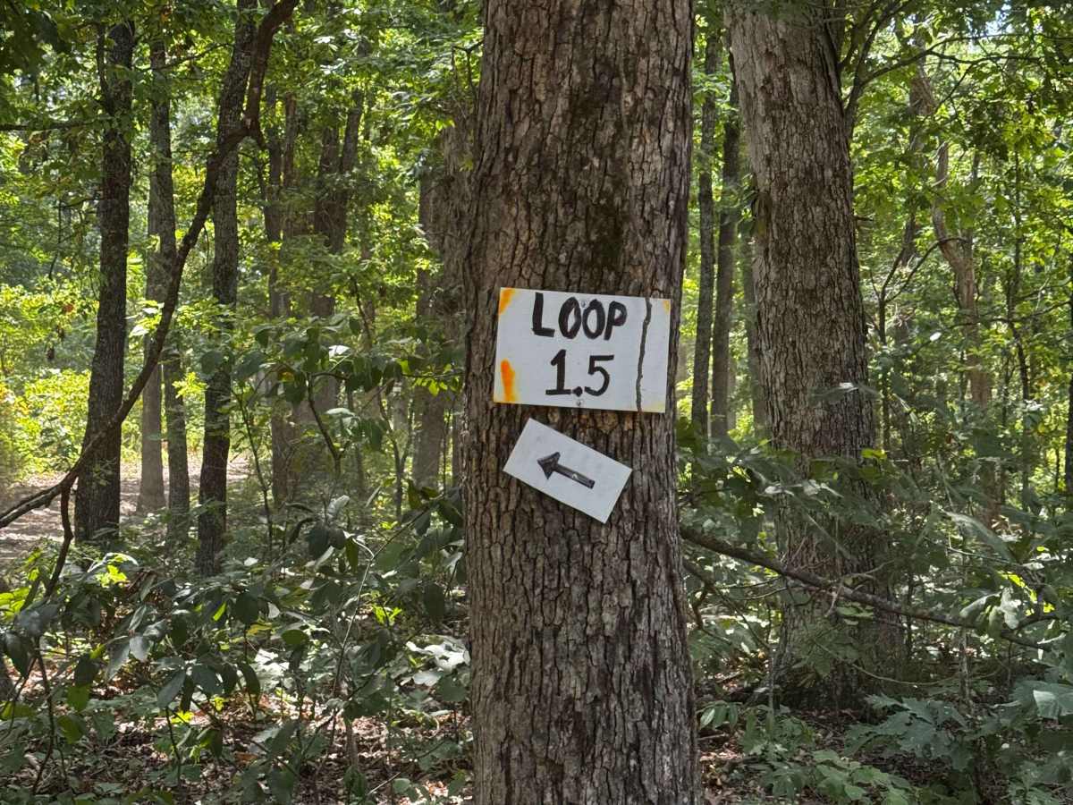 Loop 1.5 trail photo