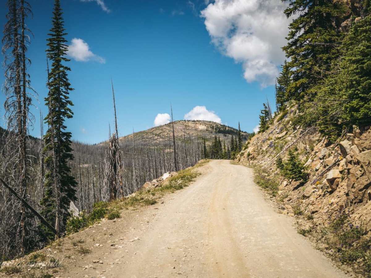 Hart's Pass Road 54 photo 2