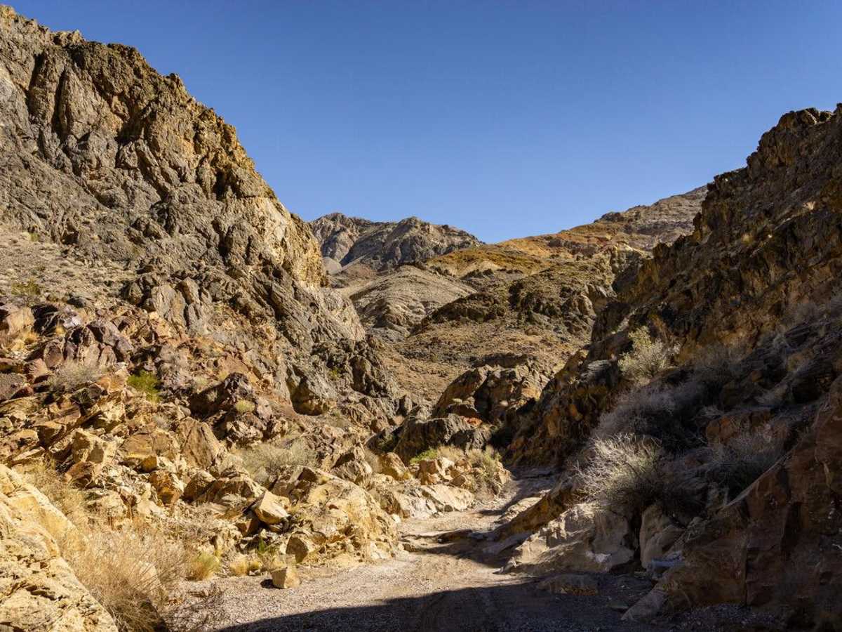 Steele Pass trail photo