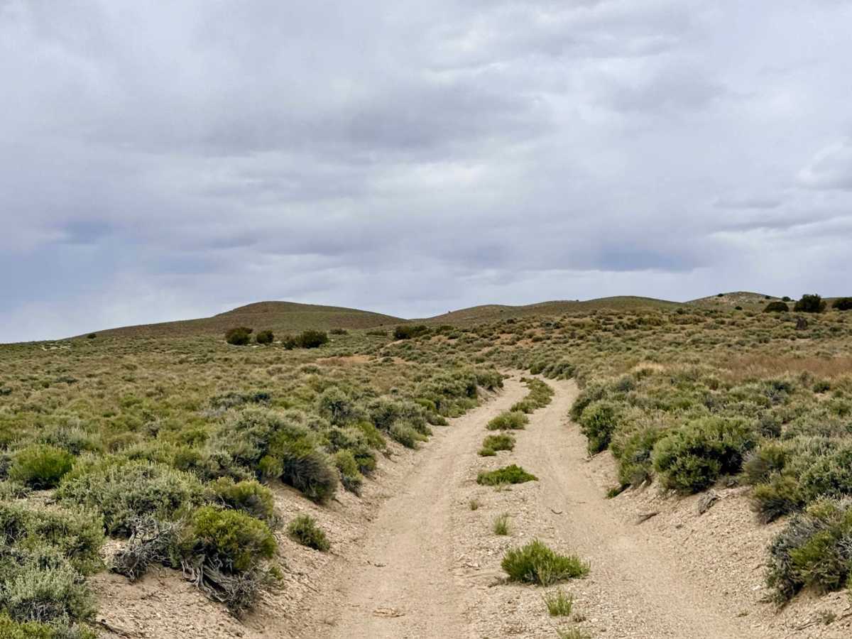 Parrotte Springs / Hannapah Road - FS 44505 photo 4