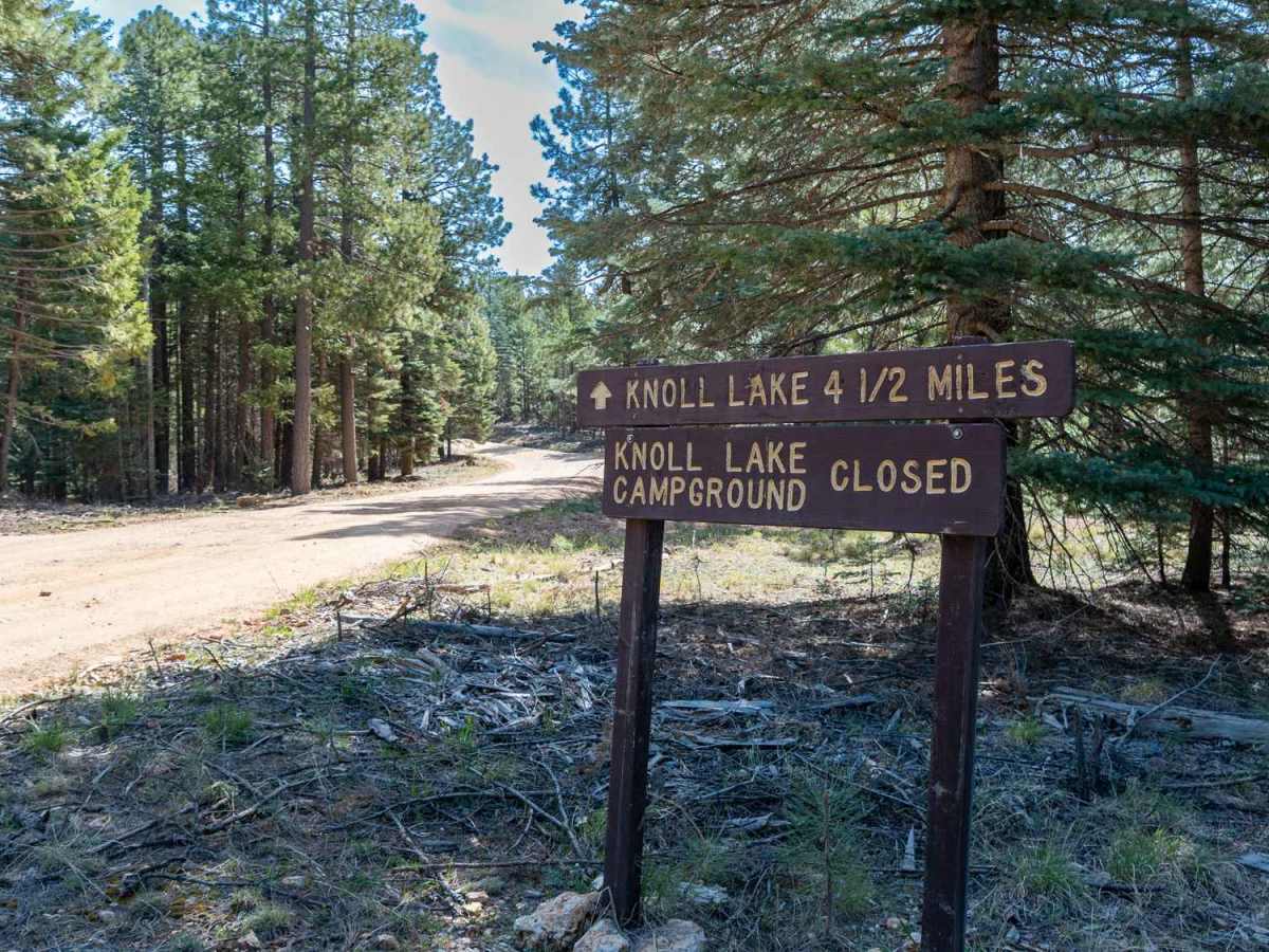 Knoll Lake - FS 295E photo 3