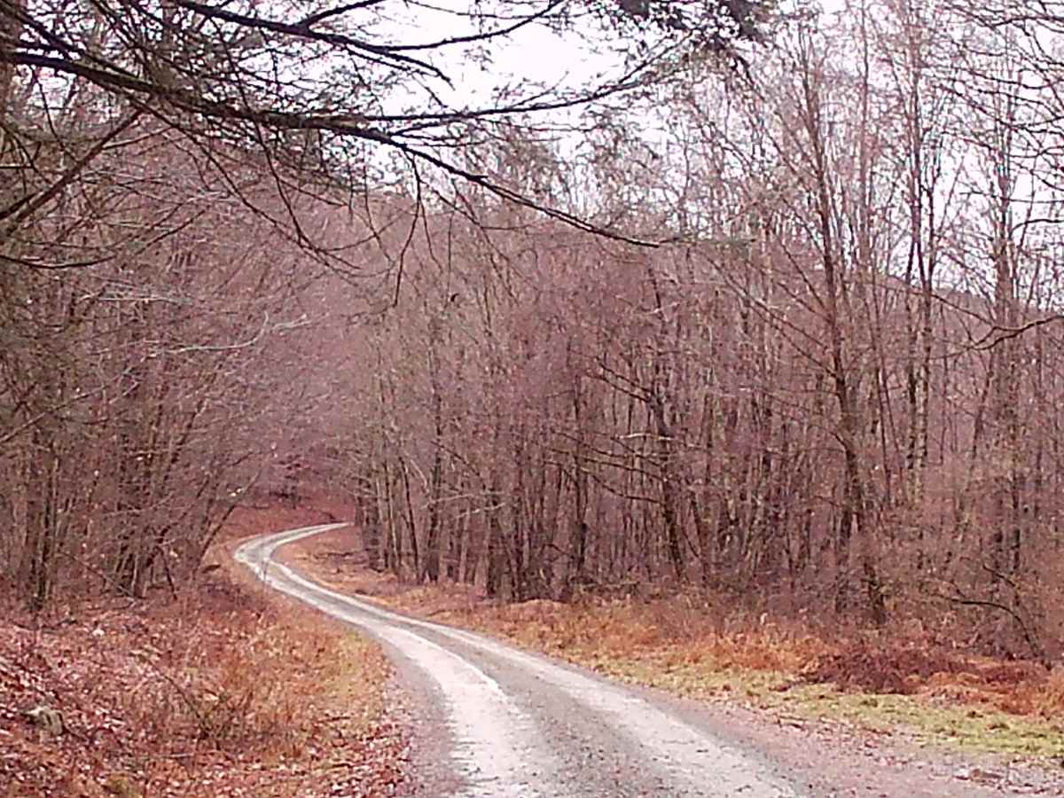 Camp Mountain Road photo 2