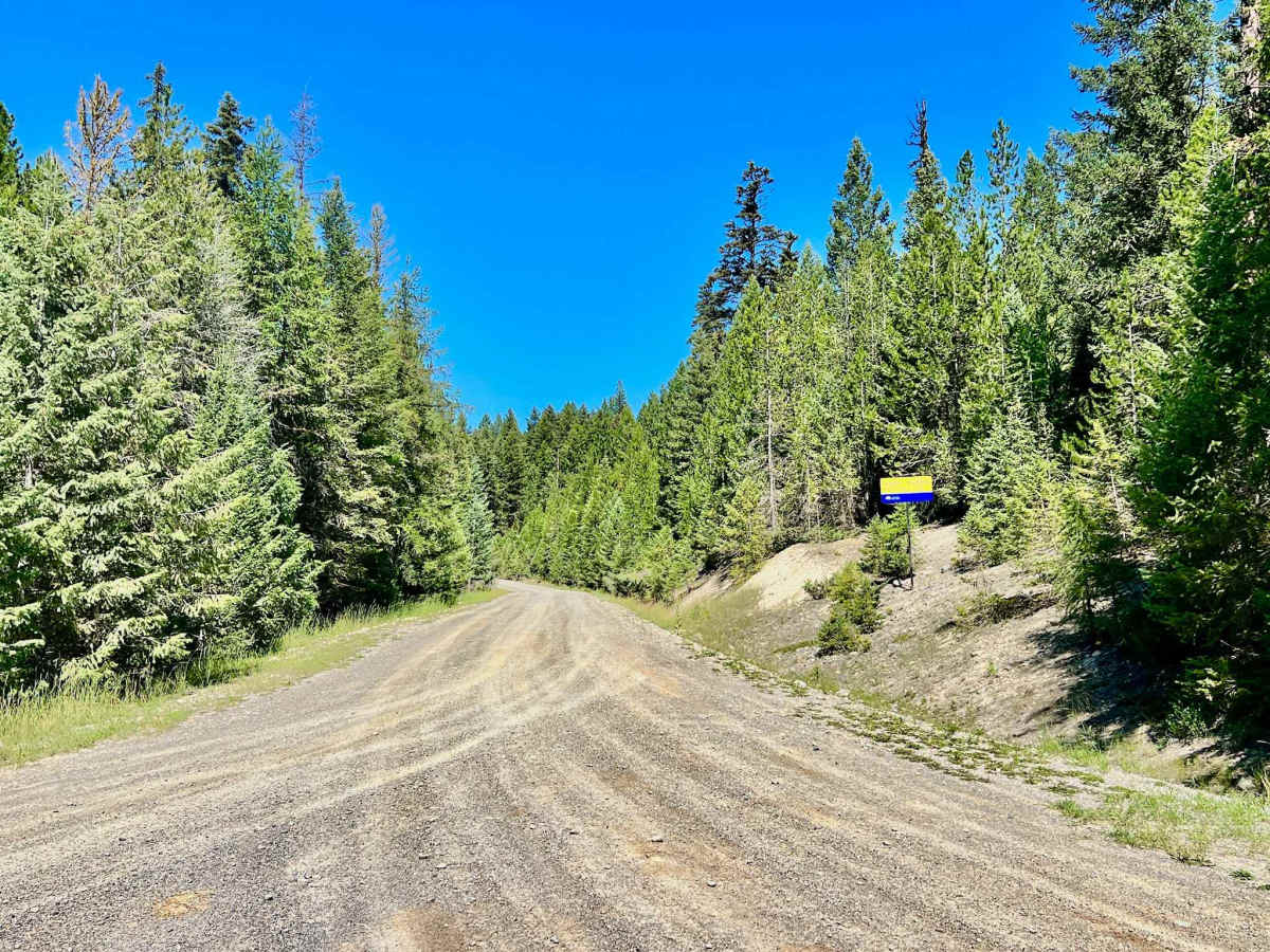 Plumbob Creek FSR photo 2