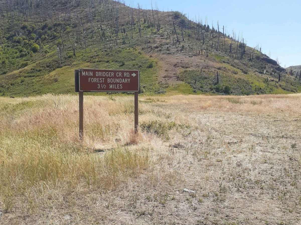 Bridger Creek Cruise trail photo
